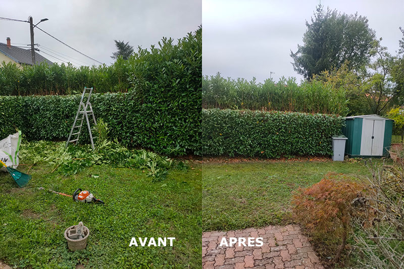 Taille haies avant/après